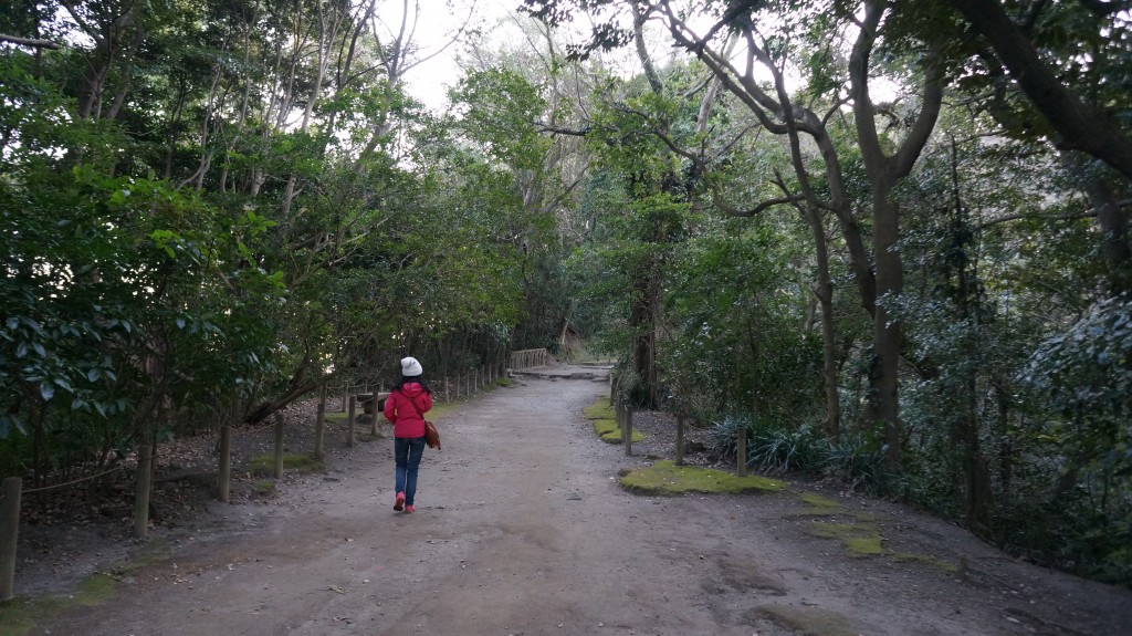 DSC06320